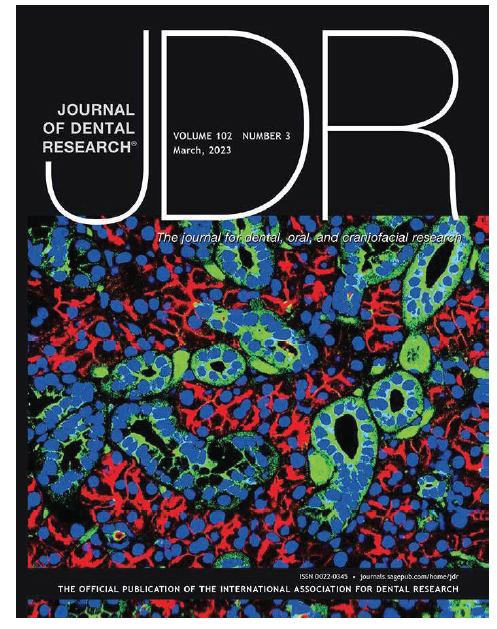 IADR/AADOCR Journal of Dental Research Cover of the Year IADR